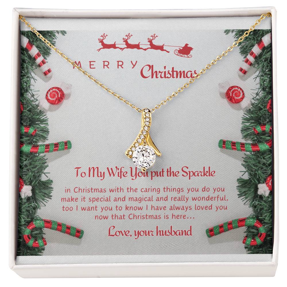 Beautiful Necklace For My Loving Wife Marry Christmas